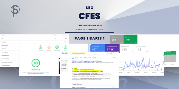 portofolio seo 3